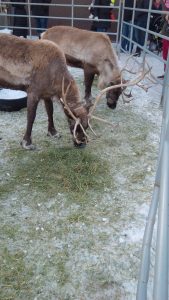 img_20161218_101157-2